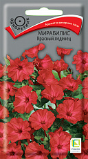 Семена Мирабилис Красный Леденец цв/п 1 г Поиск