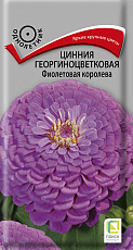 Семена Цинния Фиолетовая Королева георгиноцв цв/п 0,4 г Поиск